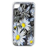 Clear cover – Daisy Day
