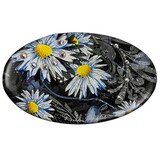 MagnaFab – Daisy Day