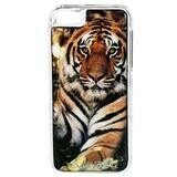 Clear Cover – Tiger