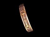 Gold Snake Burgundy Bit