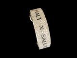 S Nano White Lizard Halt At X