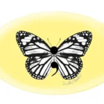 Magnafabs – Butterfly