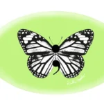 Magnafabs – Butterfly