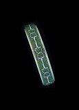 Green Q Bit Chain- Silver- Skinny