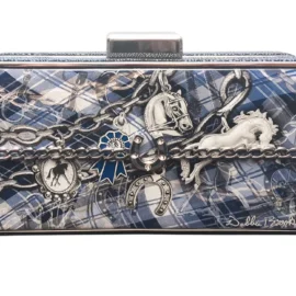 Spirit Chain- Box Clutch